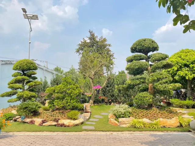 Góc sân vườn – Tùng Viên