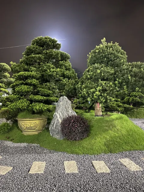 Đá bước và chậu bonsai