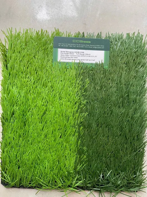 Cỏ sân bóng chính: cỏ gân & cỏ kim cương